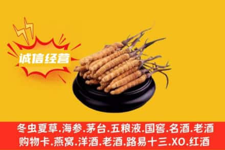 台州市路桥回收冬虫夏草
